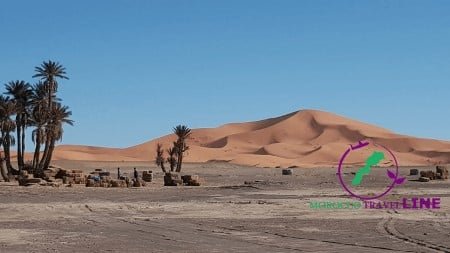 morocco tourism azrou with monkey