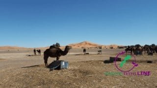 marrakech tourism camel trekking