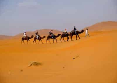 camel trekking in morocco